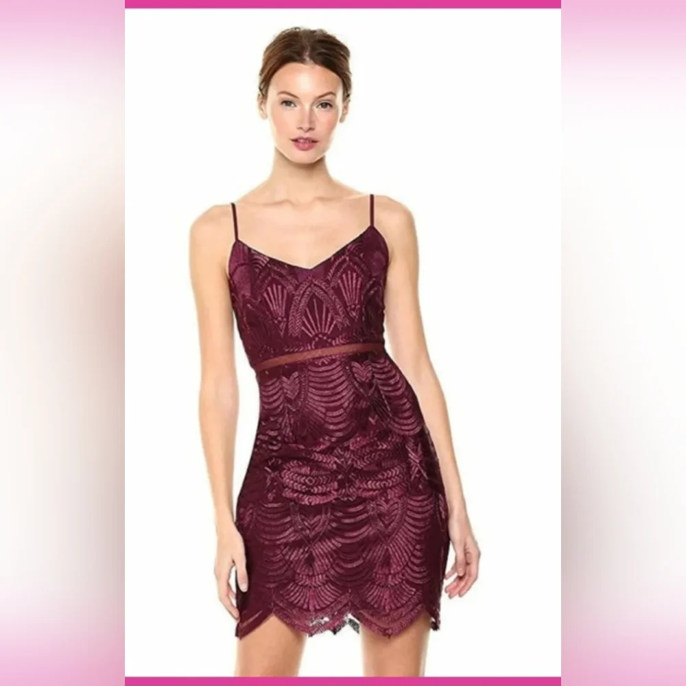 Guess Gianni Embroidered Mesh-Inset Dress Size: 8 - Picture 1 of 12